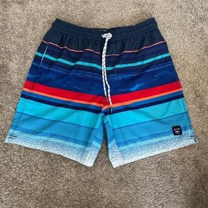 SPICY TUNA Vibrant Blue Striped Swim Trunks for Men.  Size Small